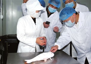 聚焦接待业务 从幕后到台前的专业服务