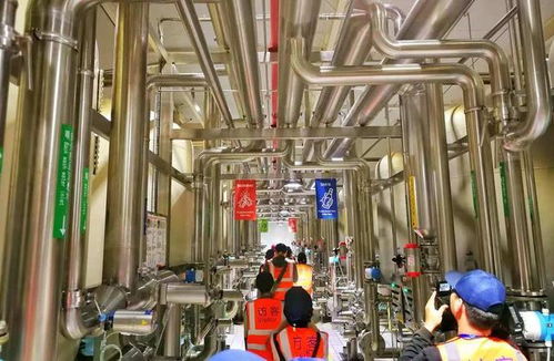 百威雪津 世界级智慧低碳工厂，黑科技护航啤酒诞生之旅与接待业务